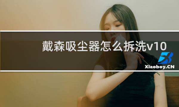戴森吸尘器怎么拆洗v10 - 戴森吸尘器怎么拆洗v10视频