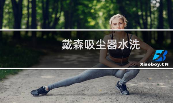 戴森吸尘器水洗 - 戴森吸尘器气旋水洗了怎么办