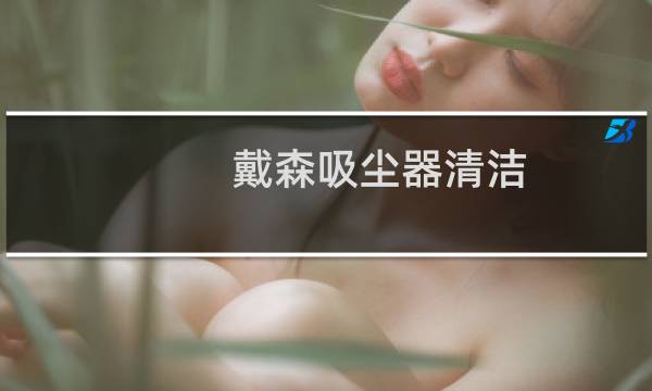 戴森吸尘器清洁 - 戴森v8怎么清洗图解