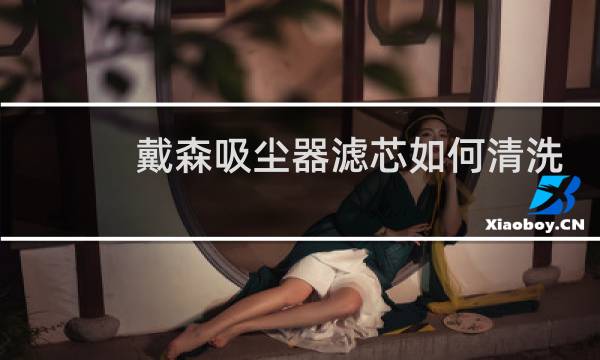 戴森吸尘器滤芯如何清洗 - 戴森吸尘器一直显示滤网清洁