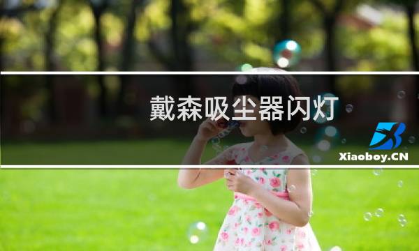 戴森吸尘器闪灯 - 戴森吸尘器弯头标志一直在闪