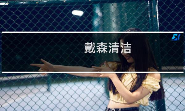 戴森清洁 - 戴森吸尘器清洁服务