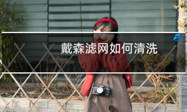 戴森滤网如何清洗 - 戴森吸尘器清洗滤网
