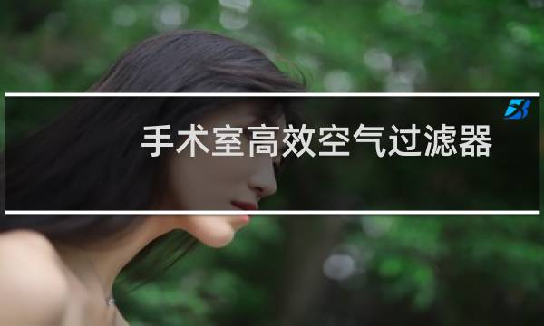 手术室高效空气过滤器 -