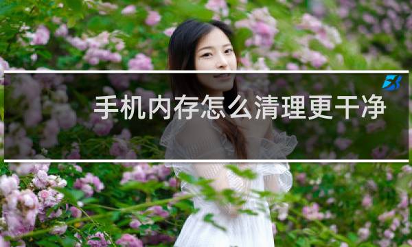 手机内存怎么清理更干净 - 手机运行内存怎么样清理