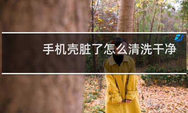 手机壳脏了怎么清洗干净 - 有颜色的硅胶手机壳脏了怎么清洗