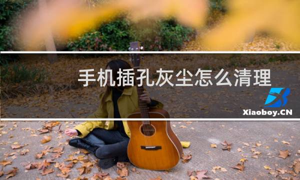 手机插孔灰尘怎么清理 - 如何清理手机充电口的灰尘