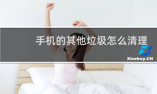 手机的其他垃圾怎么清理 - 小米其他文件占20多g
