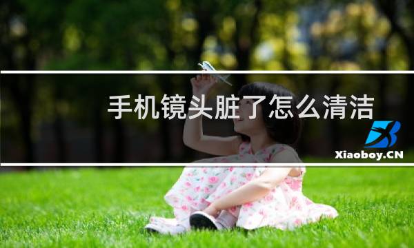 手机镜头脏了怎么清洁 - 手机镜头用什么擦拭干净