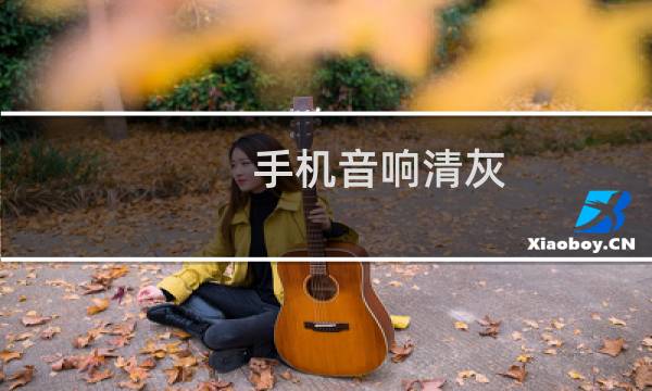 手机音响清灰 - 震动手机音响清灰