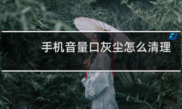手机音量口灰尘怎么清理 - 手机声音出口怎么清理灰尘