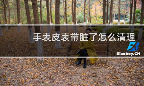 手表皮表带脏了怎么清理 - 手表带如何清洗