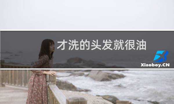 才洗的头发就很油 - 头发洗了一会儿又油了