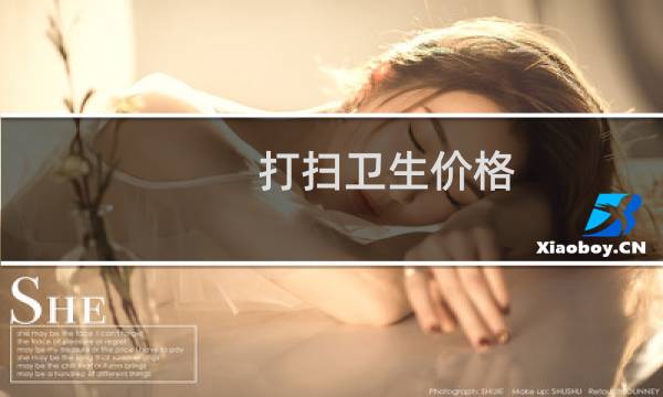 打扫卫生价格 - 家政服务打扫卫生价格