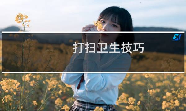 打扫卫生技巧 - 打扫卫生又快又干净的妙招