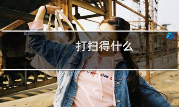 打扫得什么 - 认真的打扫得的是哪个的