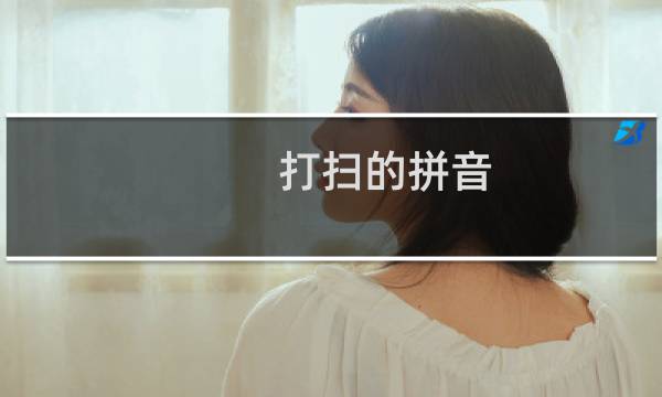 打扫的拼音 - 打扫的注音