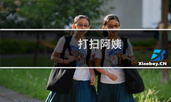 打扫阿姨 - 打扫卫生的清洁工阿姨作文