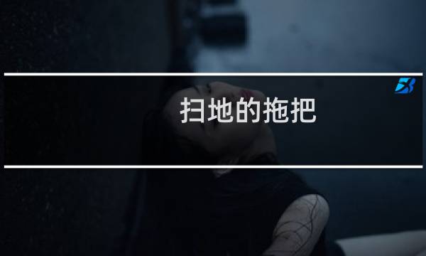 扫地的拖把 - 家里用什么样的拖把最干净