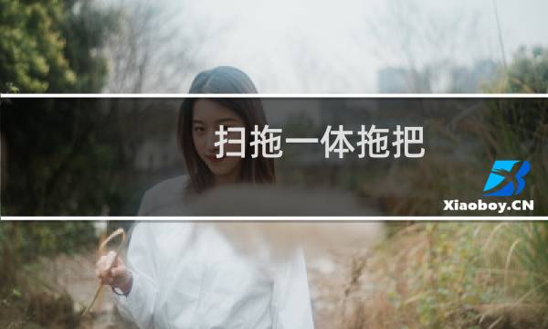 扫拖一体拖把 - 扫拖一体拖把好不好