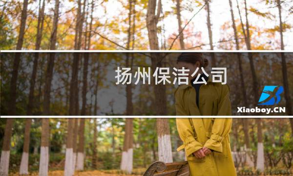 扬州保洁公司 - 扬州保洁服务有限公司