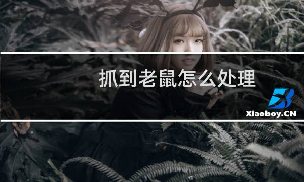 抓到老鼠怎么处理 - 抓到老鼠放了还是杀了