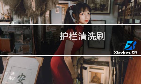 护栏清洗刷 - 洗路面清洗机