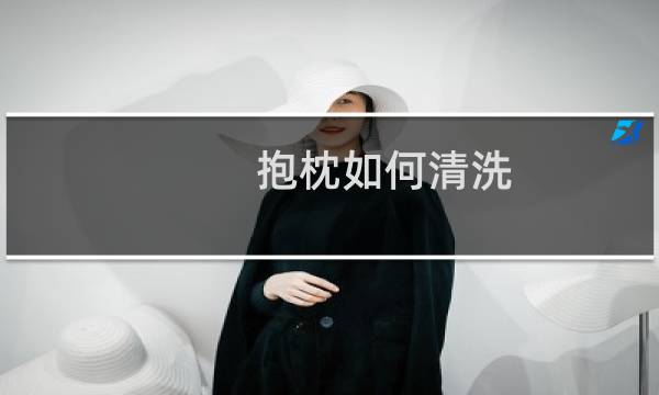 抱枕如何清洗 - 内部填充的抱枕怎么洗
