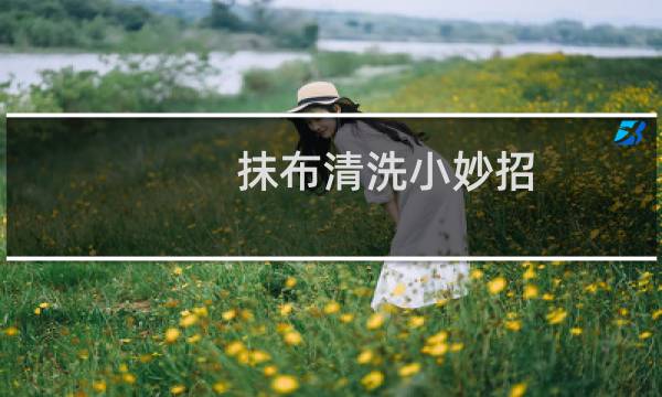 抹布清洗小妙招 - 抹布怎么洗干净