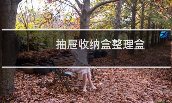 抽屉收纳盒整理盒 - 抽屉收纳盒整理盒图片