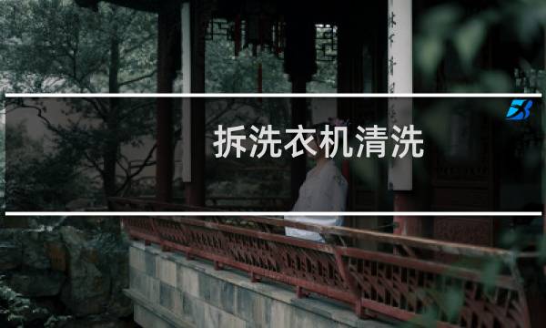 拆洗衣机清洗 - 洗衣机拆开洗有必要吗