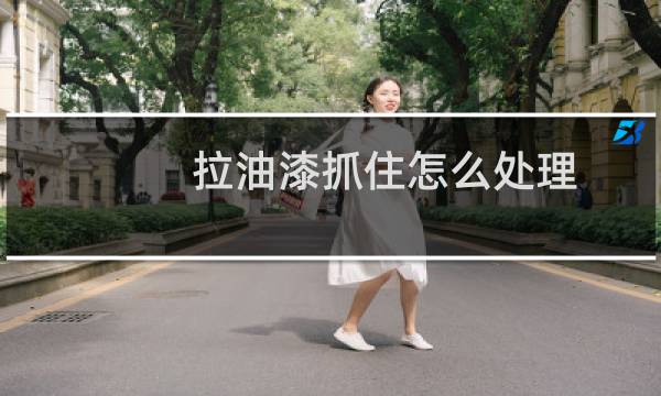 拉油漆抓住怎么处理 - 拉多少油漆算运输危险品