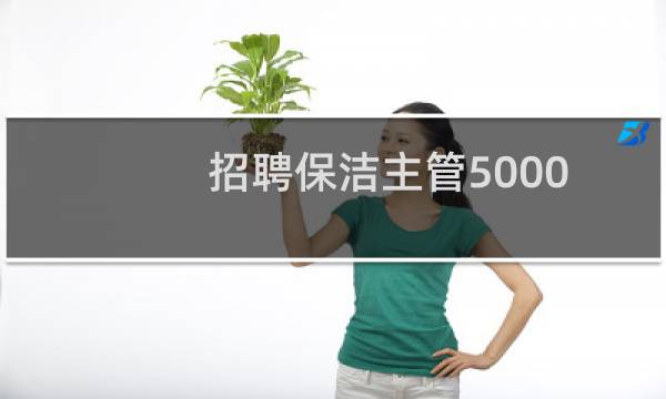 招聘保洁主管5000 - 招聘物业保洁主管一名