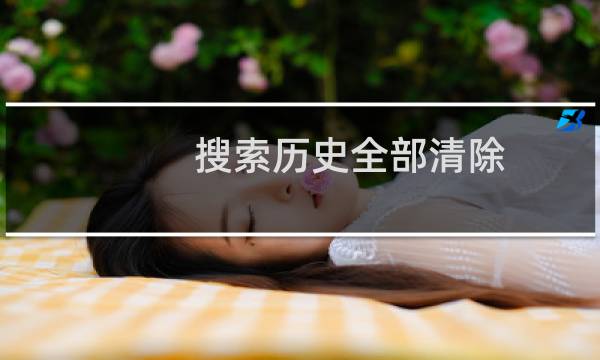 搜索历史全部清除 - 删除掉搜索历史