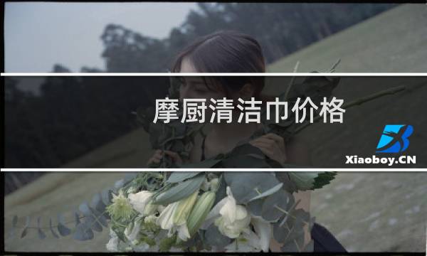 摩厨清洁巾价格 - 河北摩厨清洁巾批发