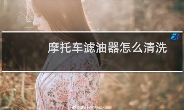 摩托车滤油器怎么清洗 - 摩托车油滤芯怎么清洗