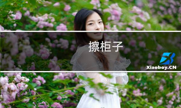 擦柜子 - 擦柜子的简介