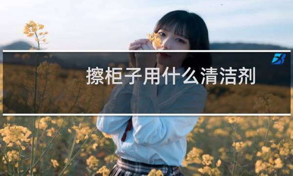 擦柜子用什么清洁剂 - 刚装修完衣柜怎么清洁