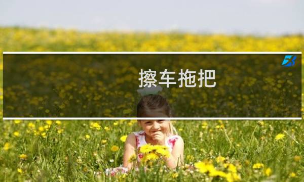 擦车拖把 - 洗车拖把头