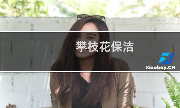 攀枝花保洁 - 攀枝花家政保洁价格表