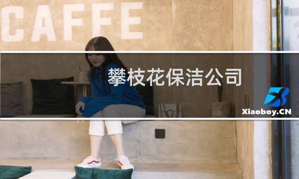 攀枝花保洁公司 - 攀枝花保洁公司电话