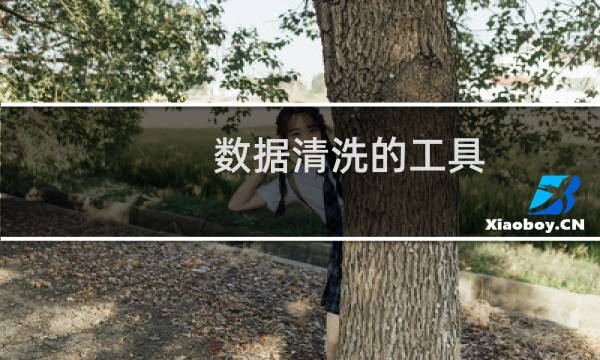 数据清洗的工具 - 常用的数据清洗工具有哪些