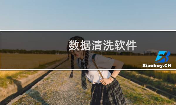 数据清洗软件 - 数据清洗用什么工具