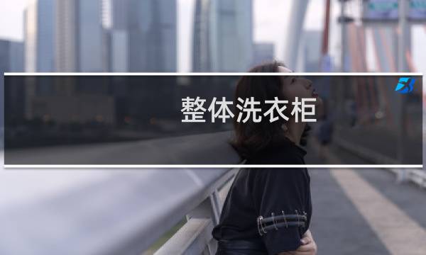 整体洗衣柜 - 定制洗衣柜十大排名官网