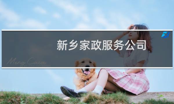 新乡家政服务公司 - 新乡最好的家政公司有哪几家