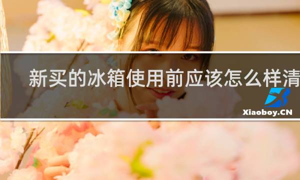 新买的冰箱使用前应该怎么样清洗 - 新冰箱第一次使用需要清洗吗