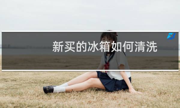 新买的冰箱如何清洗 - 新冰箱开始用怎么清洗