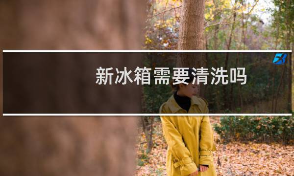 新冰箱需要清洗吗 - 新冰箱不清洗能直接用吗
