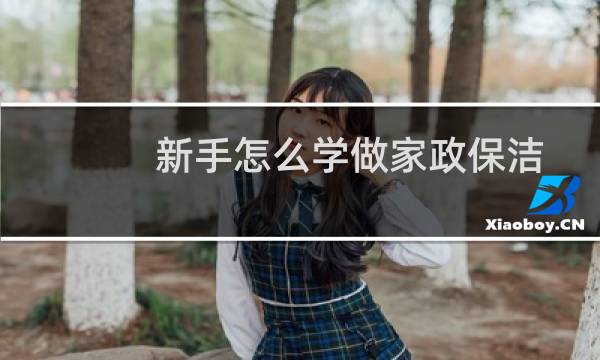 新手怎么学做家政保洁 - 专业保洁培训视频教程