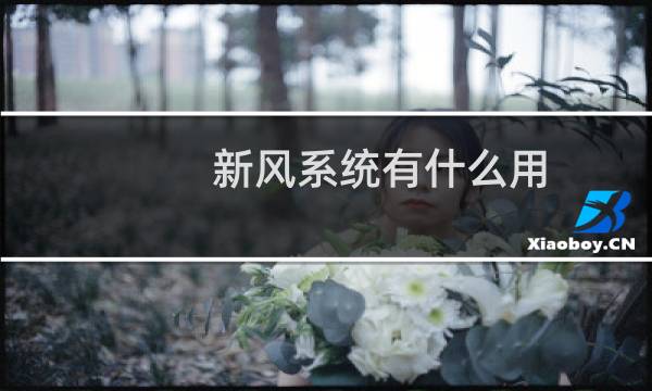 新风系统有什么用 - 千万别装新风系统